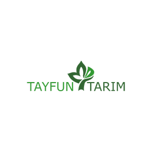 TAYFUN TARIM